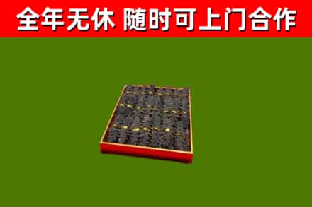山阳烟酒回收海参.jpg